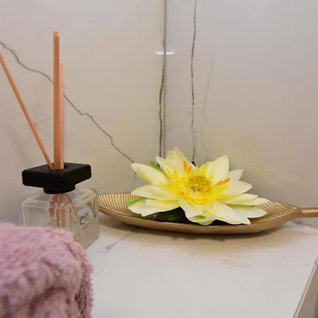 Stella Exclusive Center Of Appartamento Abbazia